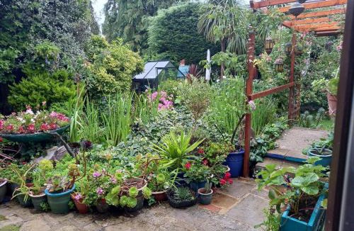 Ryde Bed & Breakfast | Osborne Lodge