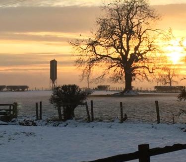 Easterside Bed & Breakfast | Oscar Park Farm