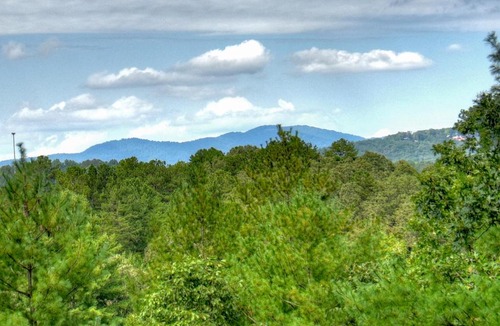 Mineral Bluff House | Oscars Outpost- Cuddleup