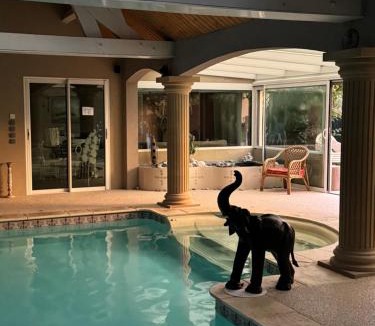 Mesves-sur-Loire Villa | Osiris Espace Piscine couverte et Chauffée