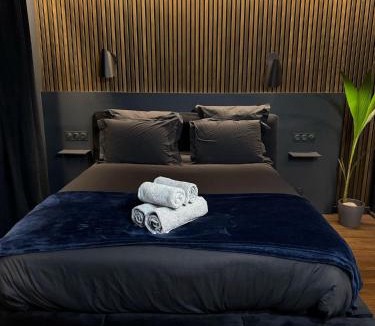 Faubourg Sud Apartment | Osmose Dijon