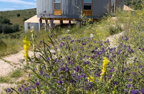 Garden City RV Rental | OsoBlu Yurts Group Booking
