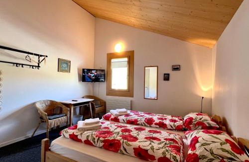 Bivio Hotel | Ospizio La Veduta