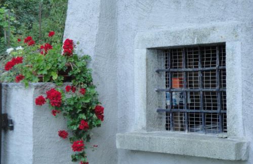 Campascio Bed & Breakfast | Osteria Del Centro