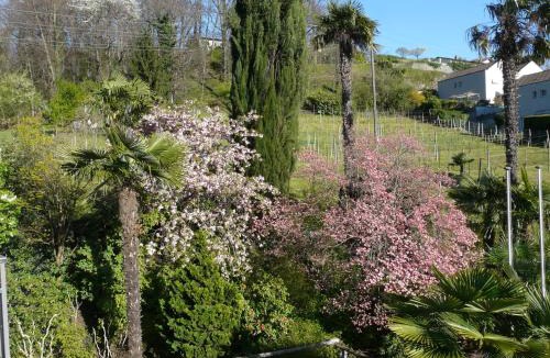 Cadempino Bed & Breakfast | Osteria Garni Americana