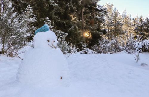 Alvie House | Otter Lodge