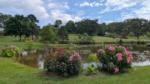 Oden Other | Ouachita Campground at Edendell