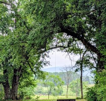 Oden Other | Ouachita Campground at Edendell