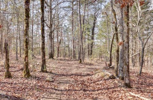 Board Camp House | Ouachitas Adventure Base! Charming Tiny Cabin