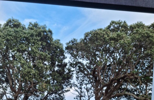 Te Kaha Ski Chalet | Our Coastal Hideaway No 2.