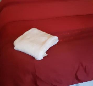 Raunds Apartment | Our Guests Are Royal (OR)