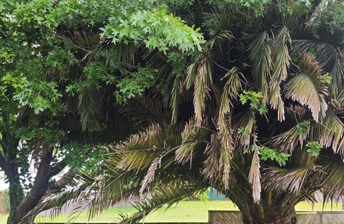 Hilltop House | Our Hidden Gem on Arthur