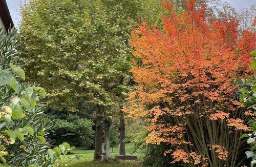 Saint-Michel-de-Lanes House | Our Maison de Maitre