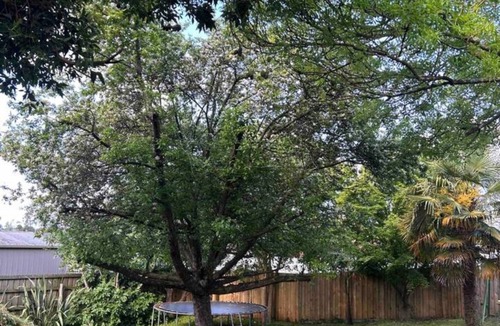 Warragul House | Our SanctuarynTake it easy at this unique and tranquil getaway .