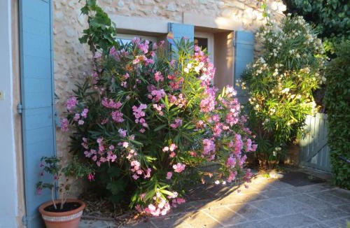 Bedoin Bed & Breakfast | Oustau du Ventoux