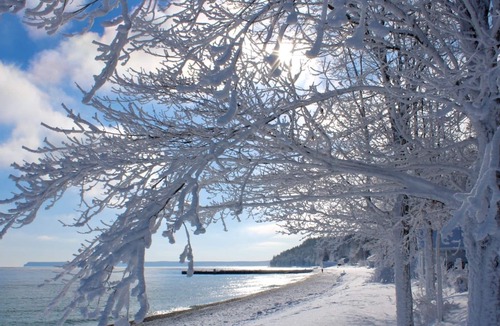 Dyer's Bay Cottage | Outdoor Enthusiasts Paradise
