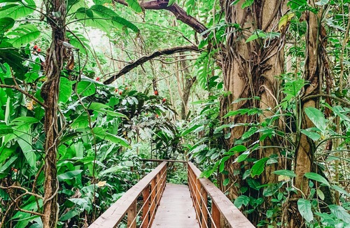 Hanamaulu Resort | OUTRIGGER Kauaʻi Beach Resort & Spa