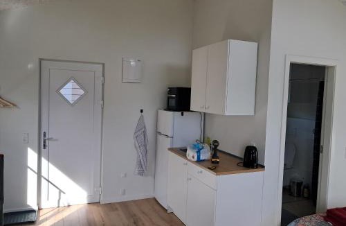 Ribe Apartment | Outside Ribe Guesthouse