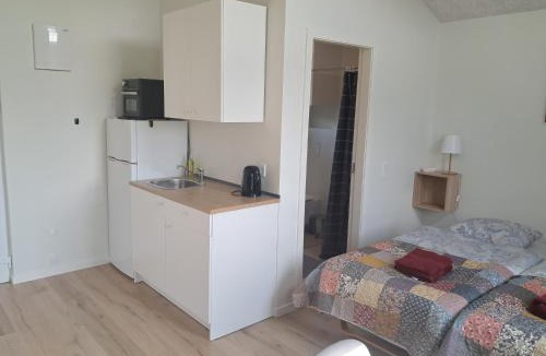 Ribe Apartment | Outside Ribe Guesthouse