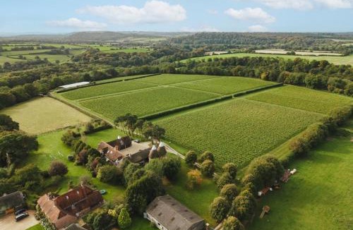 Alton House | Owl's Perch - Otium Wine Estate