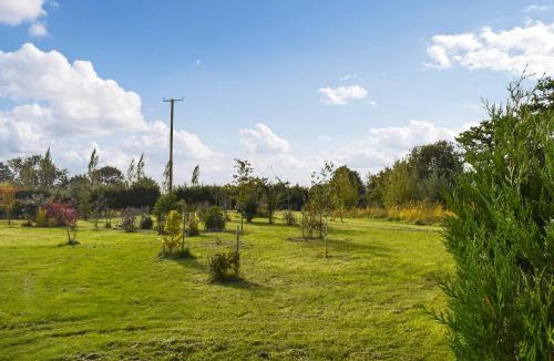 Diss House | Owls Nest