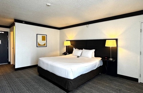 Las Vegas Hotel | OYO Las Vegas Hotel | Strip View King Unit | Easy Access to Attractions