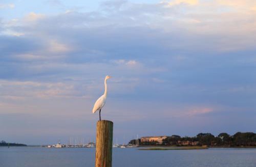 Oceanside House | Oyster Catcher 4
