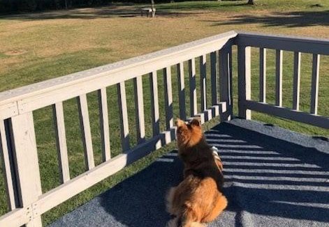 Cape Charles House | Oyster Cottage in Historic Fishing Village