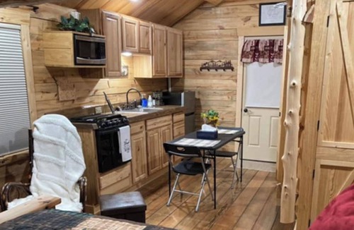 Roach Cabin | Ozark Oasis Luxury Cabin: Cozy one-bedroom with AC