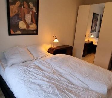 Randers Apartment | Pæn central lejlighed med gratis parkering