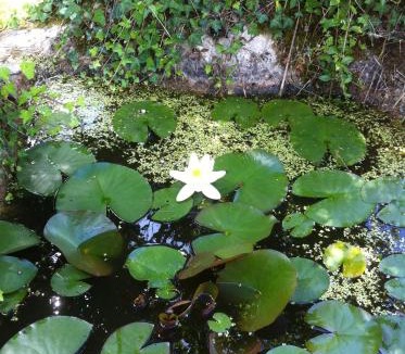 Fleurac House | Péchalvet