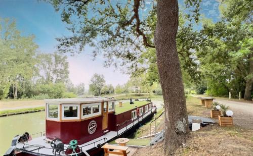 Avignonet-Lauragais Boat Rental | Péniche Dondon - Gîte cocooning sur Canal du midi