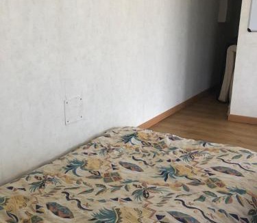 Perols Apartment | Pérols Centre, Studio unique au dessus de notre maison avec grande terrasse