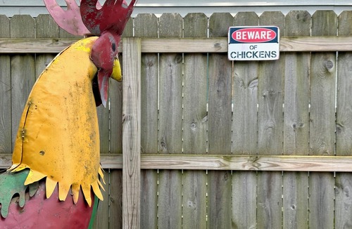Lakeside House | P- Beach Days & Backyard Nights Huge Fenced Yard, Fire Pit, Pets Welcome
