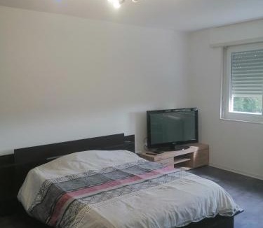 Illzach Apartment | P' TI ECRIN DE VERDURE