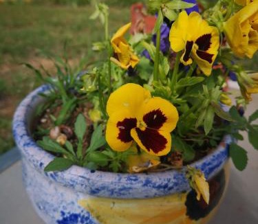 Mornas House | P'tite Case