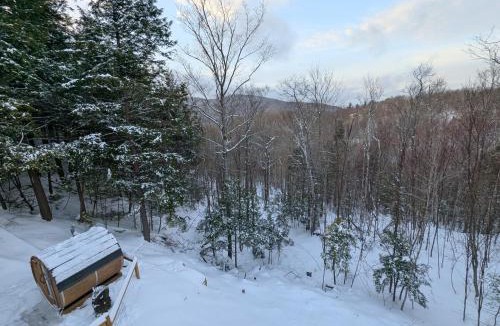Chertsey Ski Chalet | P'Tite Nyctale -Ressourcement - forêt et montagnes