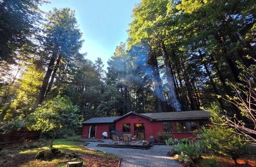 Fort Bragg House | Pacific Redwood Hideaway - Pristine forest, luxurious, private and pet friendly