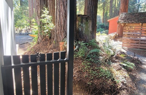 Fort Bragg House | Pacific Redwood Hideaway - Pristine forest, luxurious, private and pet friendly
