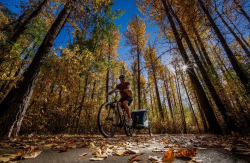 Confluence House | Paddler's Lane Retreat
