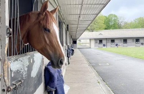 Gouvieux Apartment | Paddock Prestige by La Boîte En Plus