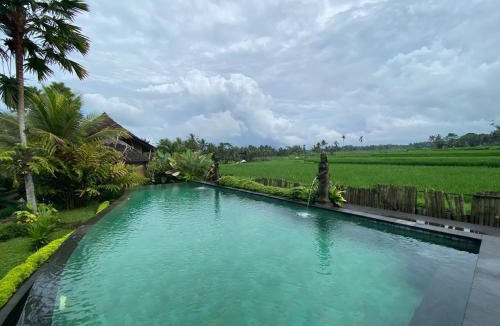 Payangan Villa | Padi Bali Villa With Private Jacuzzi
