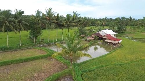 Tetebatu Hotel | padi bungalow