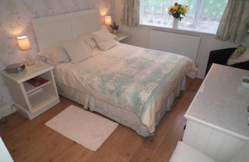 Llanrwst Bed & Breakfast | Padog B&B