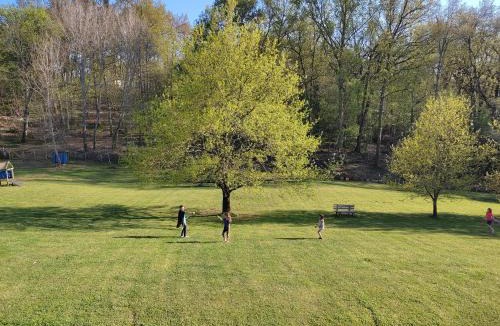 Catus Apartment | Pagel