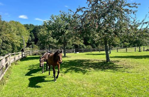Saint-Symphorien House | Paisible chaumière Normande proche bourg - Jardin - Campagne