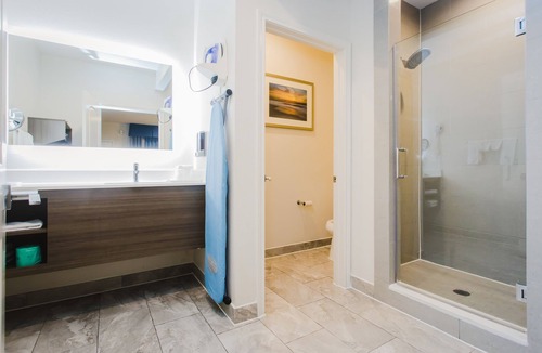 Houston Hotel | Palace Inn Blue I-45 & College Ave