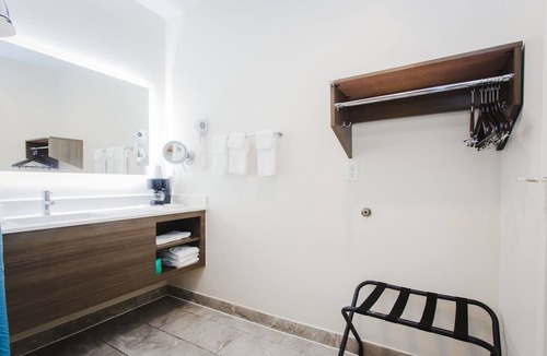 Houston Hotel | Palace Inn Blue I-45 & College Ave