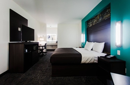 Barker Hotel | Palacio Royale Inn Boutique Katy