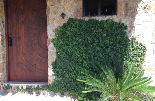 El Sargento Villa | Palapas La Choya